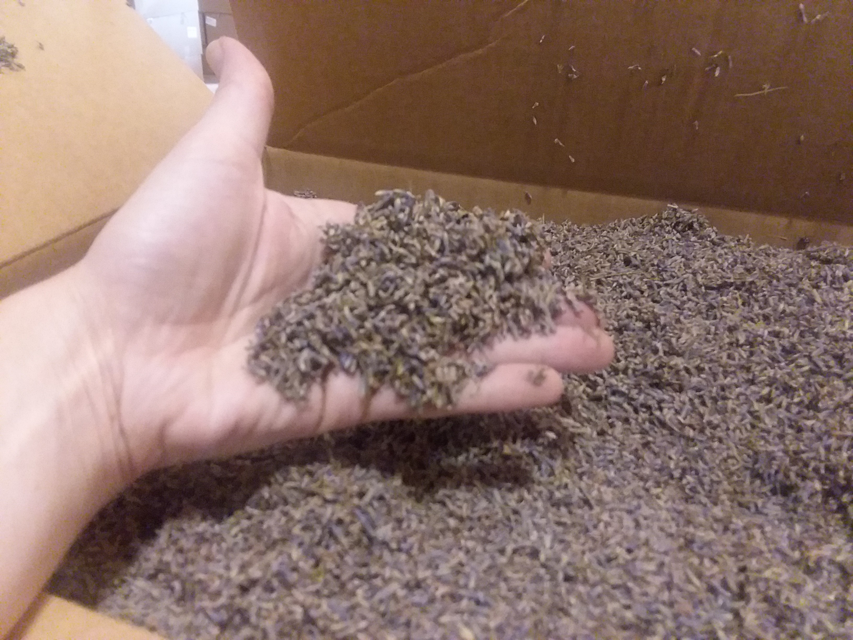 Lavender buds - bulk case - 10 lbs