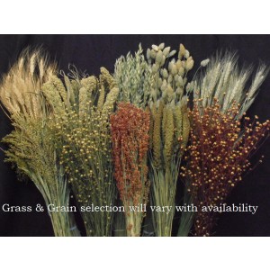Grass and Grain-Assorted Case