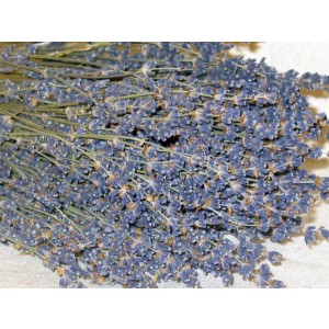 Lavender-English-Natural