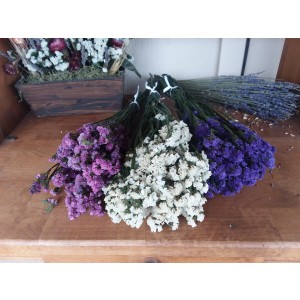 Statice Sinuata - Natural