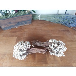 Tallow Berries-Natural